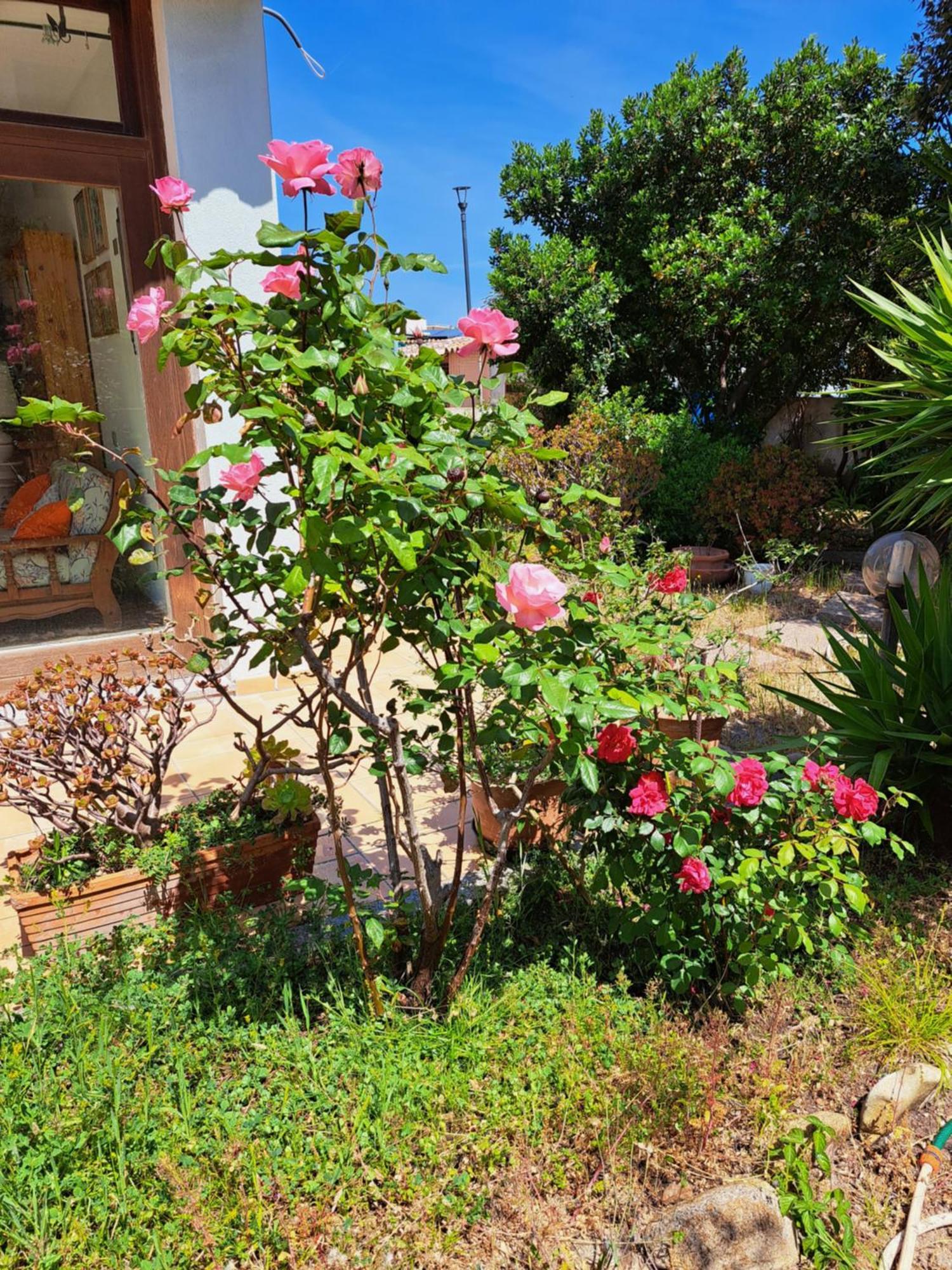 Casa Di Paolo E Roberta Panzió Santa Teresa Gallura Kültér fotó