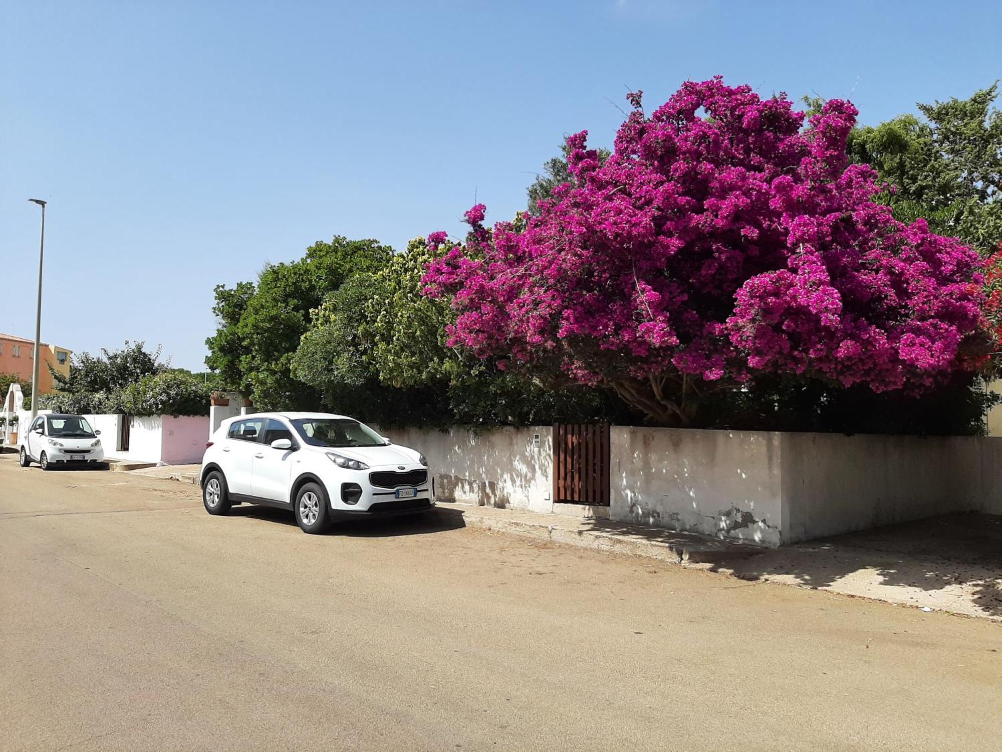 Casa Di Paolo E Roberta Panzió Santa Teresa Gallura Kültér fotó