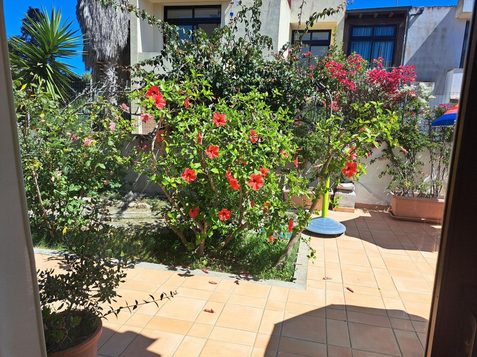 Casa Di Paolo E Roberta Panzió Santa Teresa Gallura Kültér fotó